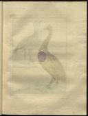Seite 
