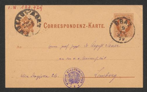 Zur Seitenansicht